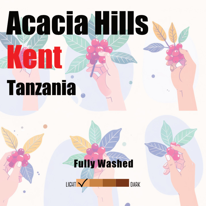 Acacia Hillsのコーヒー