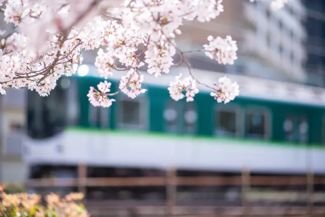 街の魅力、野江の魅力
まずはお知らせが一つ。
GW中は定休日の月曜に加えて火曜もお休みをいただきます。
4/29(火)臨時休業
5/6(火)臨時休業
※GW中のみ月火連休です。
月火以外の平日と土日は営業してます。
さて、野江の桜もあっという間に散り始め、葉桜になりつつありますね。
近所の子どもが舞い散る桜の花びらを追いかけ回していて、風情を感じました。
皆さんはお花見などはされましたか？
僕は成育西公園をいつも野江の名桜スポットとして推していて、ここは数は少ないですが、立派な桜の木が何本かあるのと、桜越しに見る京阪電車の色合いがまた趣があって素敵なんですよね。
京阪沿線の街としての野江の魅力を感じる場所の一つだと思います。
街の魅力って、こういう公共の場所や景色そのものの魅力と、暮らしの中で出会う人や、地元のお店のような場で、集まる人が持つ魅力があるように感じています。
野江でコーヒーショップをやっていて良かったなぁと思うのは、その場所と人の二つ魅力のバランスがとても良い点なんですよね。
体温に近いというか、お店をやっていても常に自然体でいられる、そんな包容力がある。
目を惹くような観光スポットはないけれど、素敵な人やお店もいくつもあって、気取らない等身大の魅力が溢れている。
そんな場所でコーヒーのカルチャーを少しずつでも広めることができたらと思いながら日々お店に立っています。
それでは今日明日の土日もお待ちしております！
週末もコーヒーを楽しみましょう☕︎
ーーーーーーーーーーーーーーー
【OUR CONCEPT】
Encore! Coffee Roasteryのコーヒーは4つのことを念頭に焙煎、味作りをしています。
◯新鮮であること。
◯苦味が少ないこと。
◯甘みを感じること。
◯飲み疲れないこと。
「一杯の感動をもっと日常に」———
ぜひ私たちのコーヒーを日々の生活のパートナーとして感じてほしいと思います。
【事業者さま・お店のオーナーさまへ】
当店の焙煎したコーヒー豆を使ってくださる卸販売のパートナーさまを随時募集してます。
現在様々な業種業態で数多くのお店さまやオーナーさまに使っていただいてます。
○当店ができることの一例
・オリジナルブレンドの開発
・オリジナルドリップバッグの製造
・マシンの導入サポートやコーヒー関連器具、消耗品の卸販売
・スタッフさま向けの抽出トレーニングの実施
・開業サポート
コーヒー豆をお渡しして終わりではなく、ともにお客様への最高の一杯を作りあげていけるパートナーとして、ぜひ私たちのコーヒーをお使いください。
ーーーーーーーーーーーーーーー
Encore! Coffee Roastery | アンコールコーヒーロースタリー
最新の営業日時など店舗情報・オンラインショップはプロフィール画面から
@encore_coffee_roastery
ーーーーーーーーーーーーーーー
#encorecoffeeroastery #アンコールコーヒーロースタリー #焙煎  #コーヒーショップ #スペシャルティコーヒー #specialtycoffee #コーヒー #coffee #coffeelover #コーヒータイム #コーヒーライフ #大阪カフェ #大阪コーヒー #城東区コーヒー #城東区カフェ #コーヒーのある暮らし#osakacoffee #osakacafe
